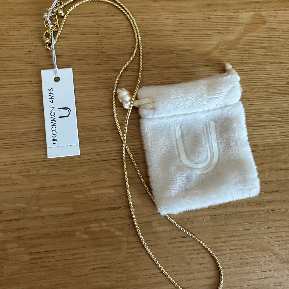 Uncommon James long gold necklace